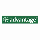 Advantage Advantage